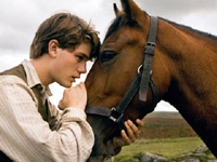 War horse