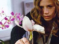 Iris (2004)